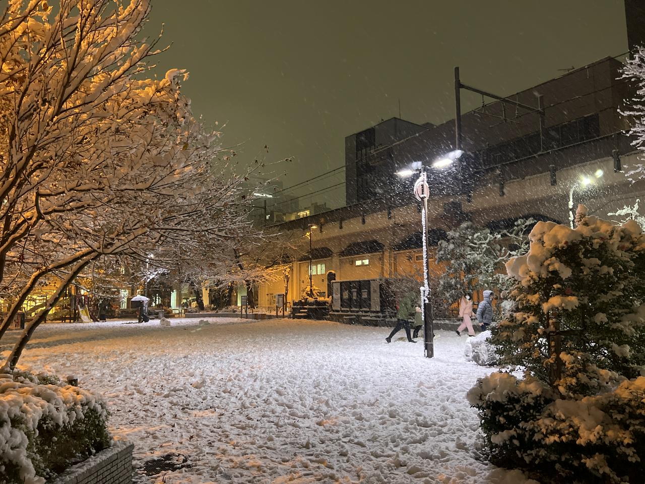 雪で覆われて白くなった近所の公園(東京都千代田区・佐久間公園)
