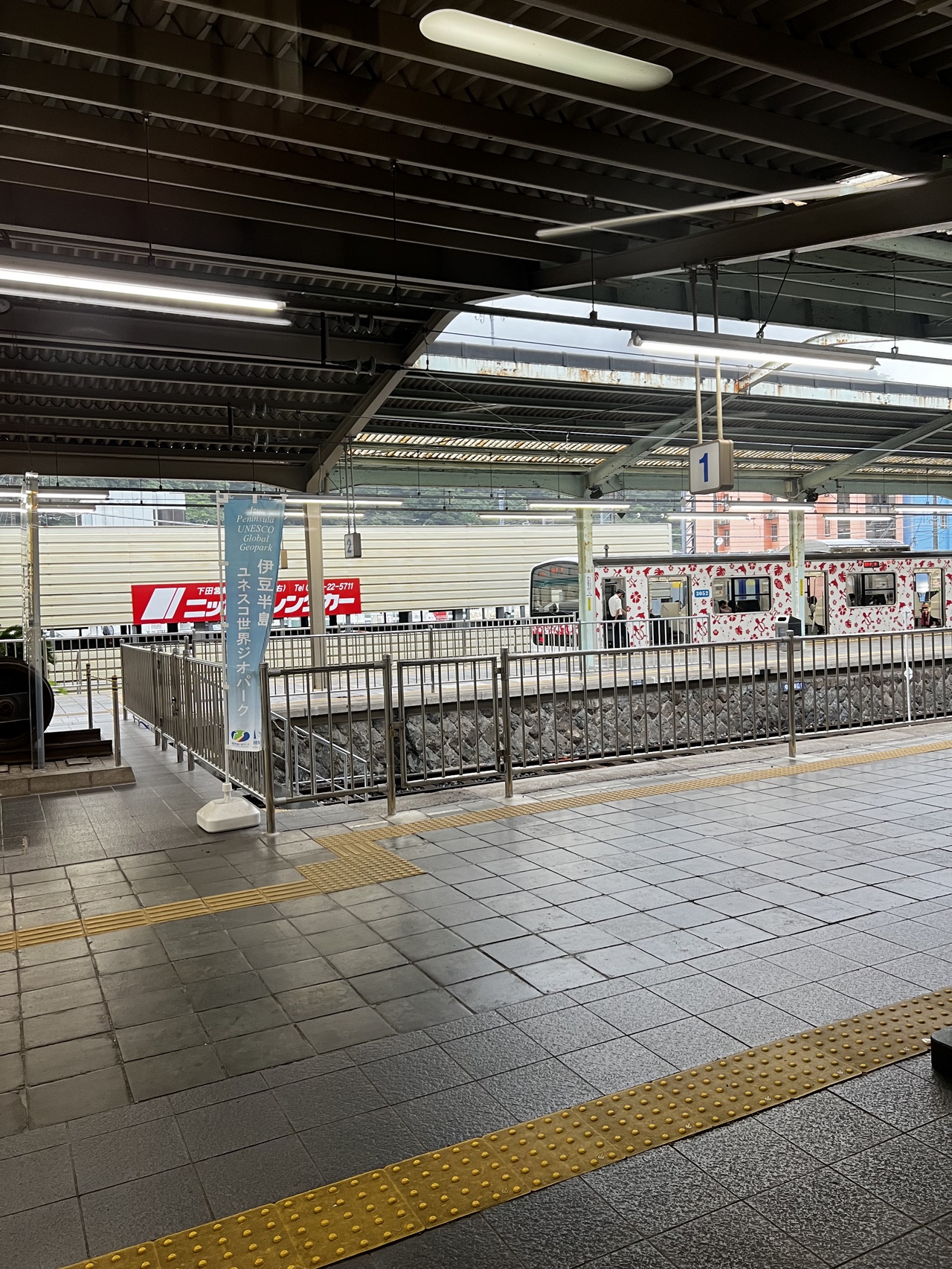 元JR東日本209系の伊豆急3000系電車