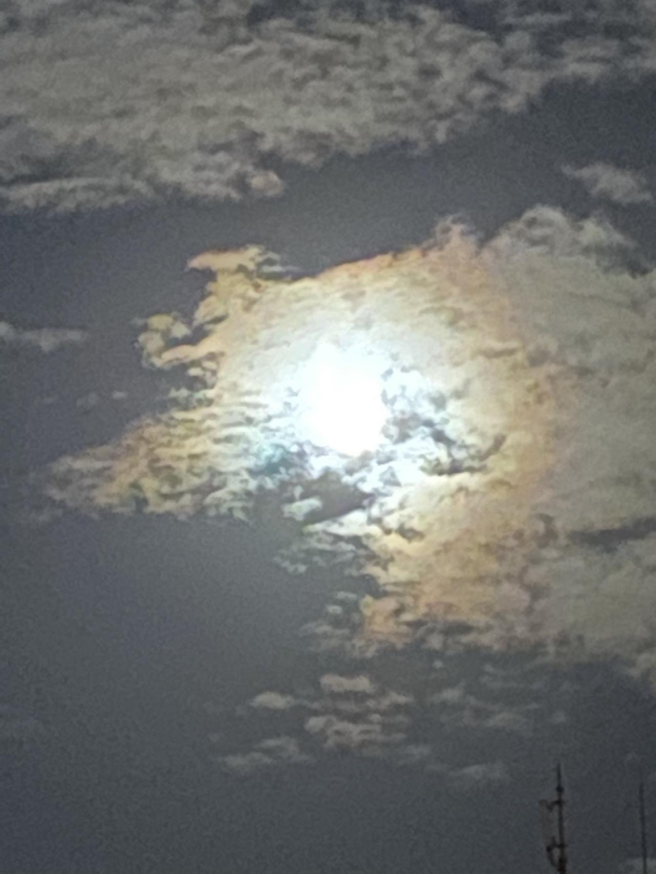 中秋の名月2021・その1