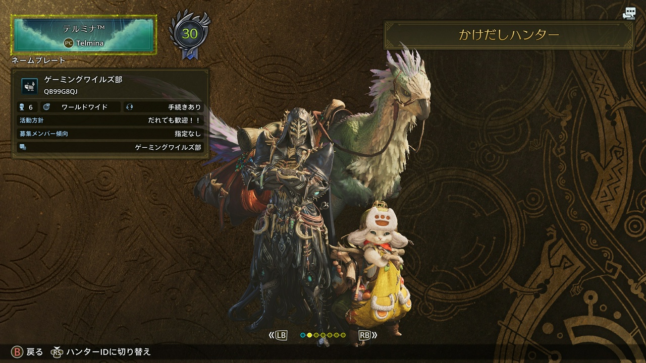 テルミナ™のステータス(モンスターハンターワイルズ・ハンターランク30)