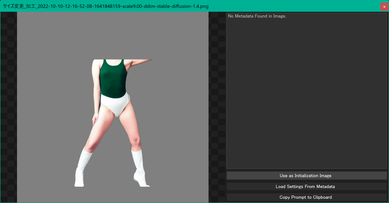 Use as Initialization Image
