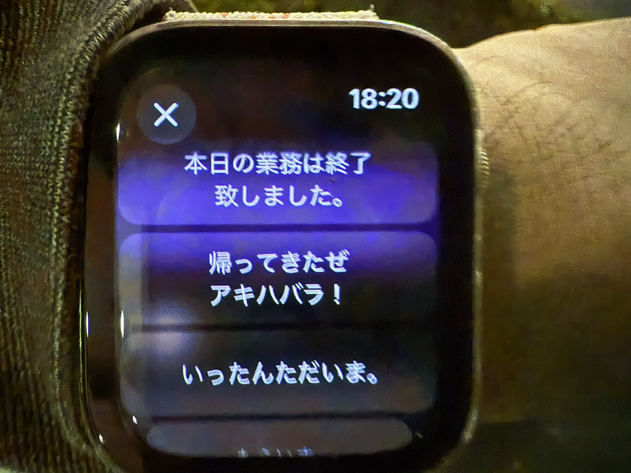 選択した定型文をBlueskyおよびMastodonにマルチポスト出来るようにしたApple Watch