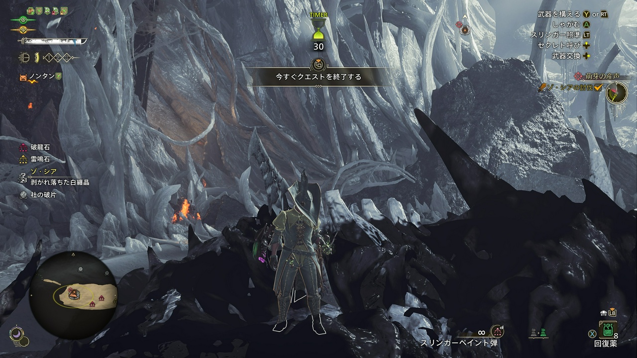 祝・上位ゾ・シア討伐！